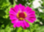 20180618_143817_edited_edited