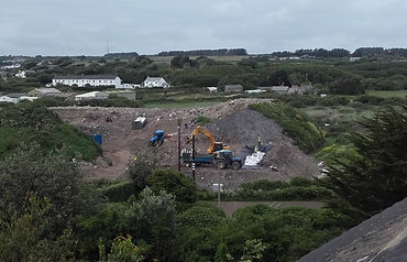 Japanese knotweed at Scilly dump