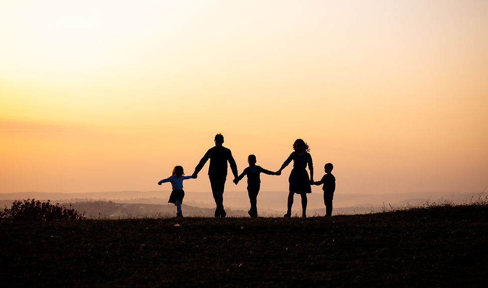 What Does a Holistic Approach to Social Reintegration Mean?