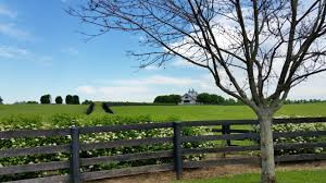 7 Considerations When Buying A Horse Property