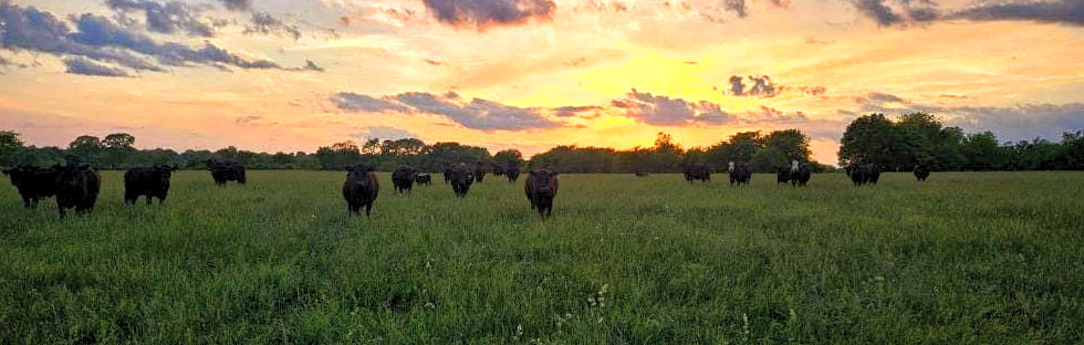Farm Pasture Pic_edited.jpg