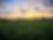 Farm Pasture Pic_edited.jpg
