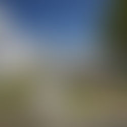 Stork Plan präsentiert neue Website – moderner Auftritt 