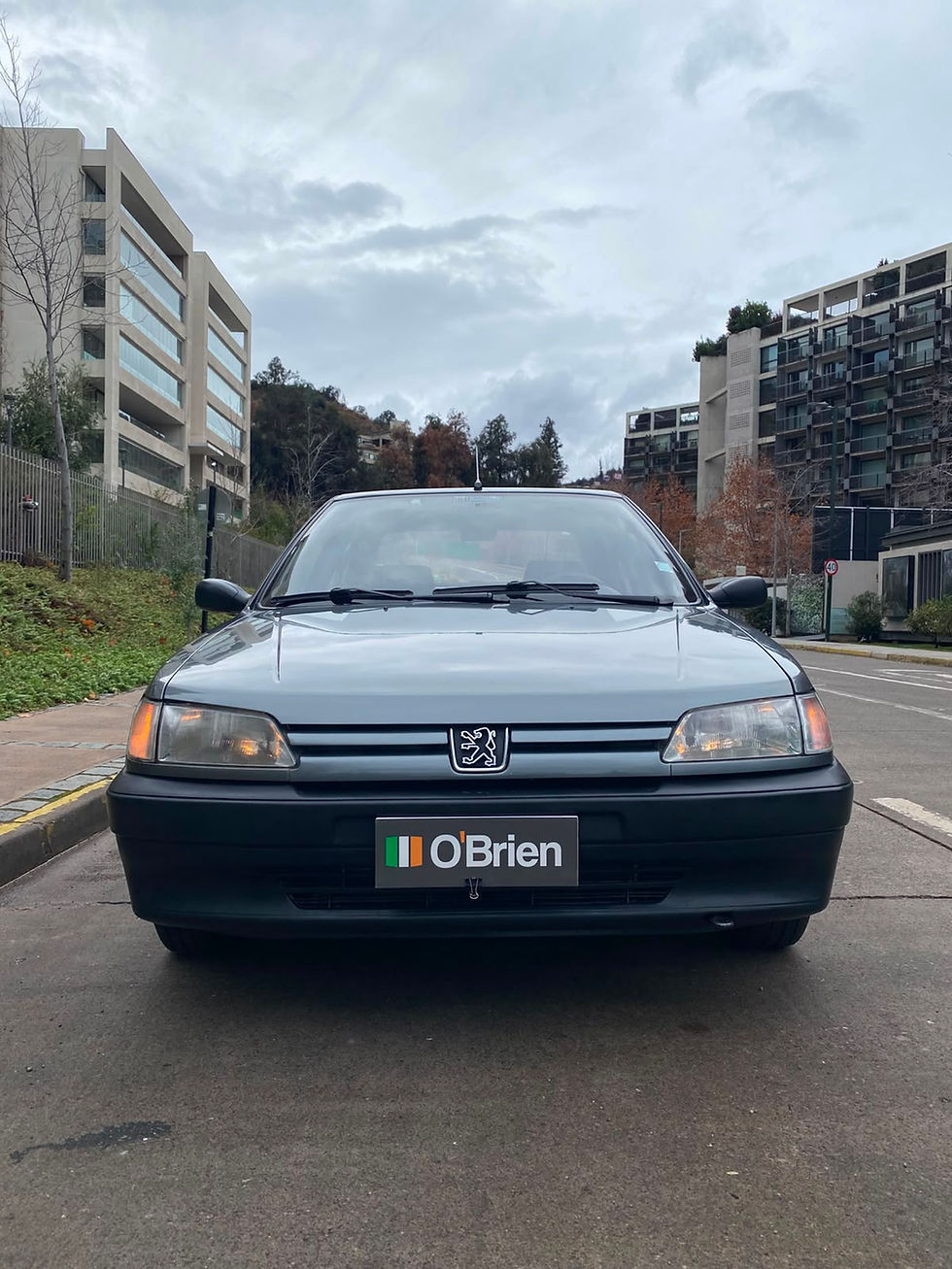 Miniatura: PEUGE0T 306 SL 1996