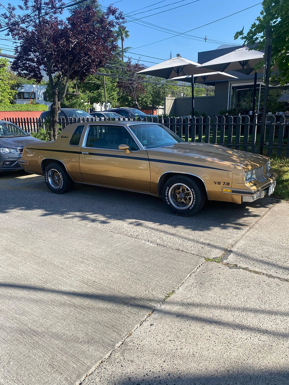 Miniatura: OLDSMOBILE CUTLASS SUPREME 1981