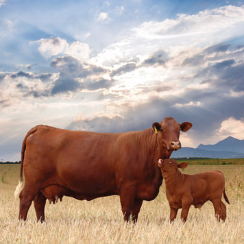 Santa_Voorblad_2022 b.jpg