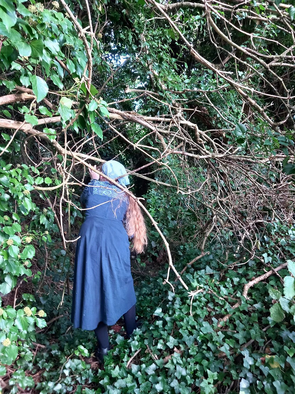 Author walking through a dense forest exploring nature.