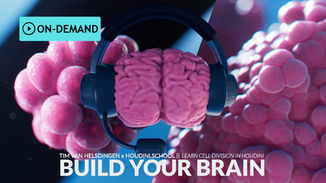 Build your brain on-demand.png