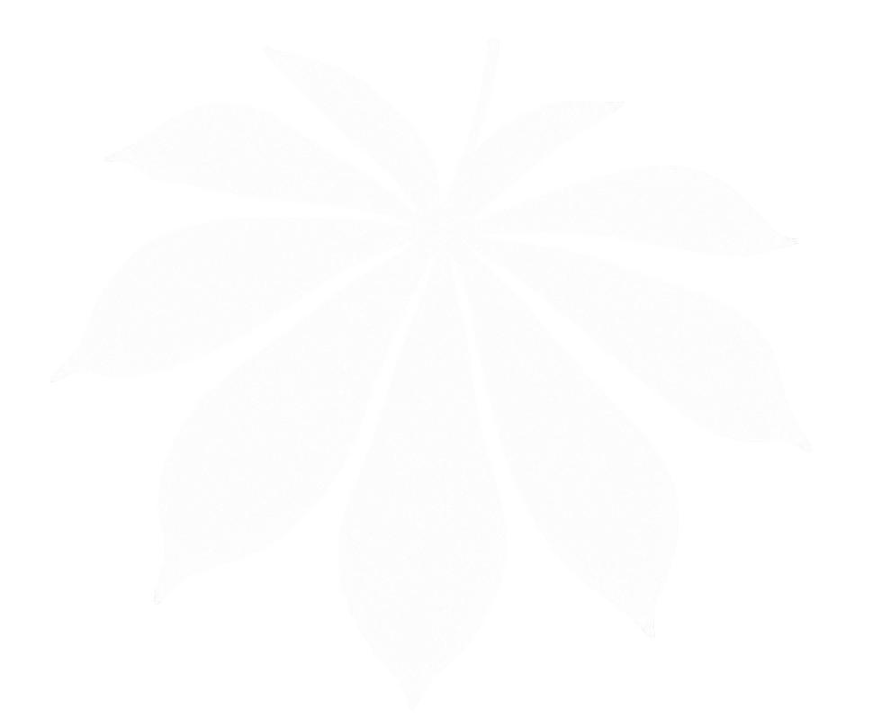 AIPIM.png