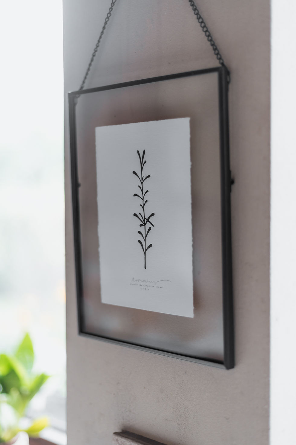 Thumbnail: Botanical shadows | rosmarinus, salvia, thymes