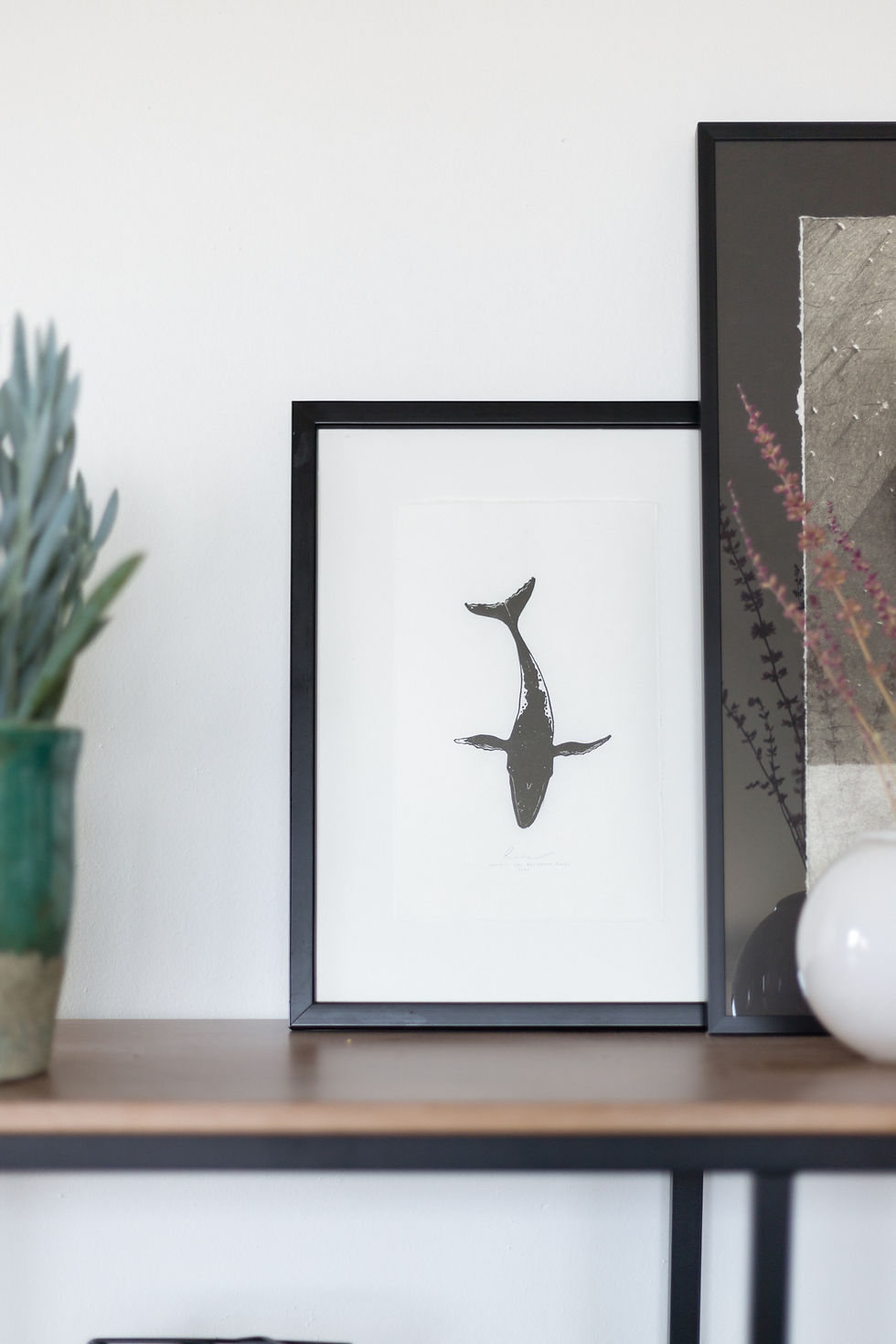Thumbnail: Rivia | humpback whale
