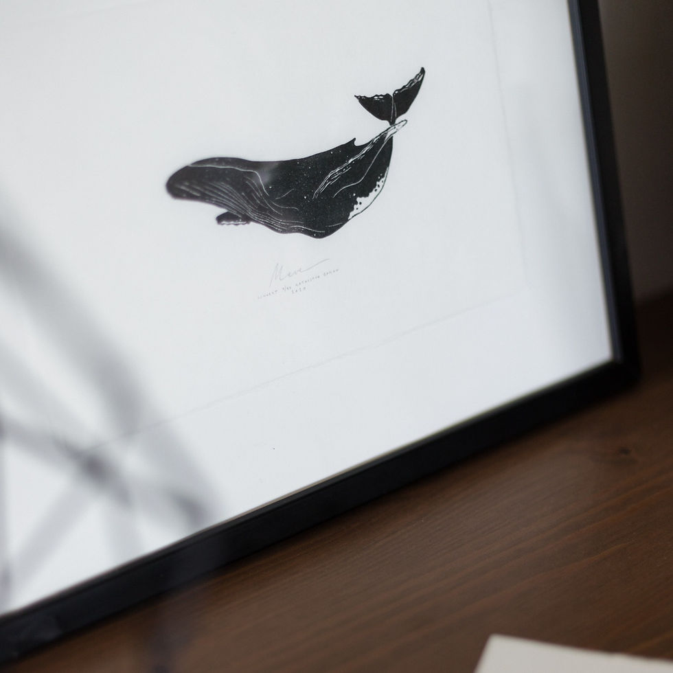 Thumbnail: Meve | humpback whale