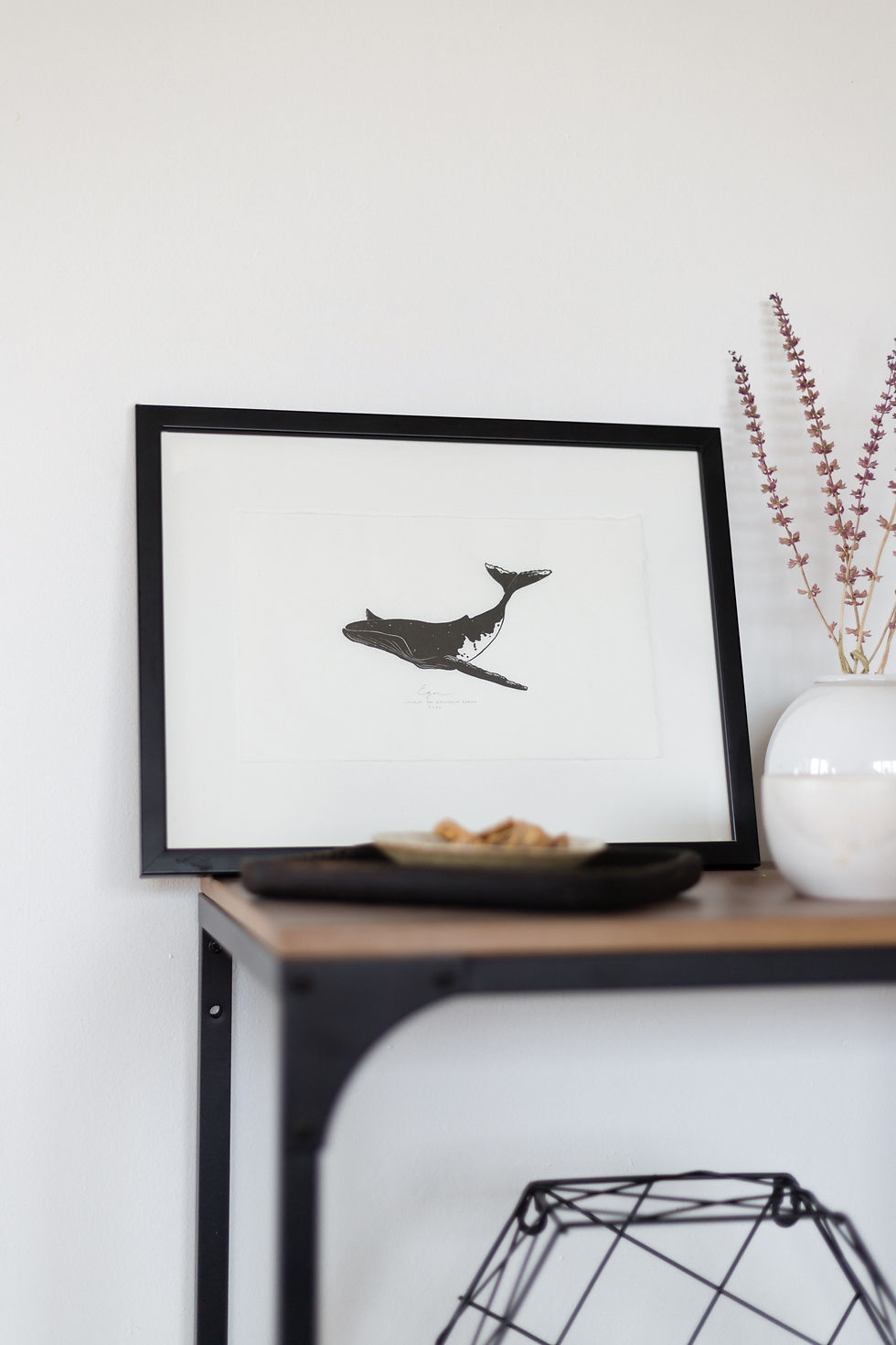 Thumbnail: Egon | humpback whale