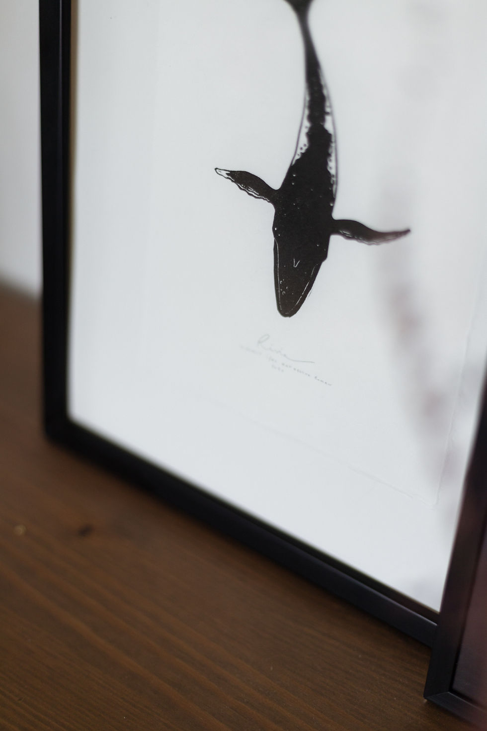 Thumbnail: Rivia | humpback whale