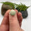 Thumbnail: Turquoise Ring