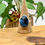 Thumbnail: Dark Moon Variscite
