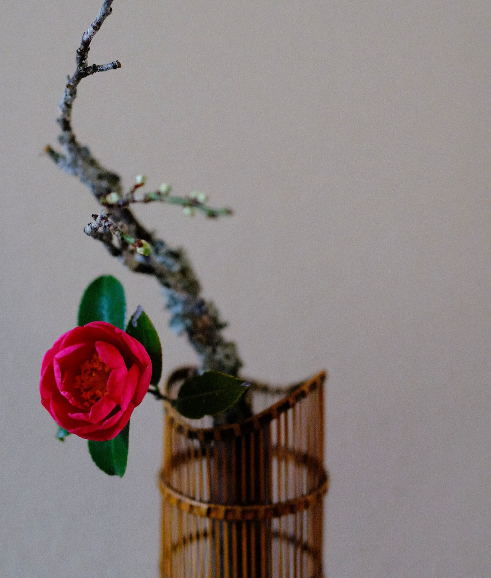 1/29(木) フラワーレッスン