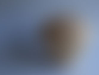 Constructing the Accidental — TaniQ and the Reconstruction of Ko-Shigaraki