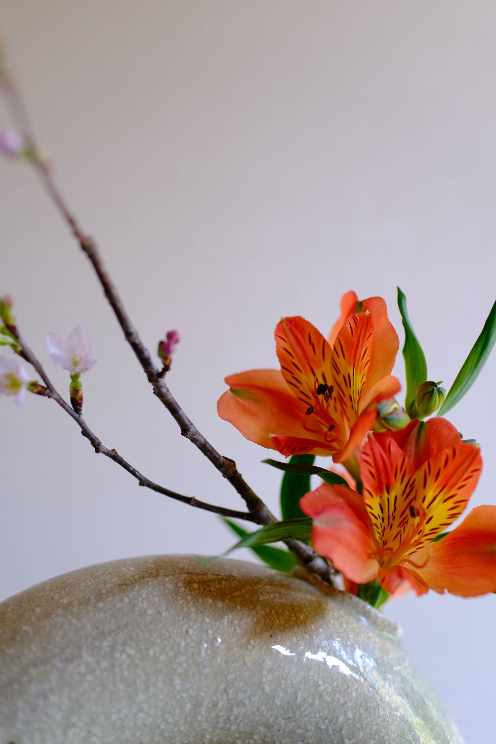 3/26(木) フラワーレッスン（リピート）