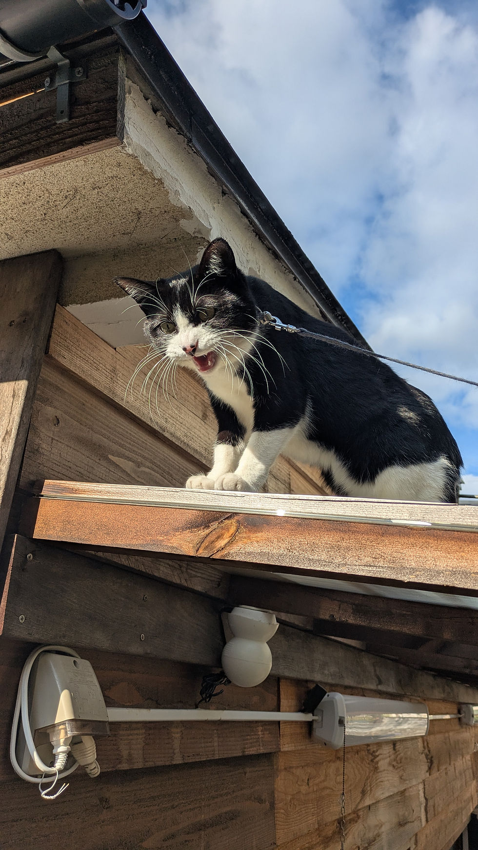 今年も1年ありがとうございました！