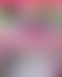 𝗧𝗵𝗲 𝗣𝗵𝗶𝗰𝗵𝗶𝘁 𝗩𝗶𝗹𝗹𝗮𝗴𝗲𝗿𝘀 𝘄𝗮𝗶𝘁𝗲𝗱 𝟭𝟬 𝘆𝗲𝗮𝗿𝘀 𝗳𝗼𝗿 𝗷𝘂𝘀𝘁𝗶𝗰𝗲. 𝗡𝗼𝘄, 𝘁𝗵𝗲𝘆 𝘄𝗼𝗻! ✊🏽