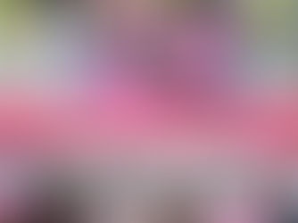 ชาวบ้านจังหวัดพิจิตรเฝ้ารอความยุติธรรมมาเกือบ 10 ปี และ ในที่สุดชาวบ้านก็ได้รับชัยชนะ ✊🏽