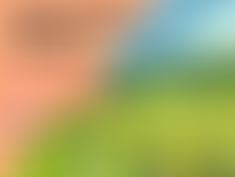 Indigenous Women’s Rights must be addressed in Thailand’s 3rd UPR!