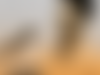 JOINT OPEN LETTER:Vietnam: Environmental lawyer Dang Dinh Bach must be released