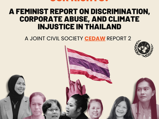 #CEDAW 🇺🇳 Manushya brings the voices of the Women Fighting Corporate Abuse and Climate Injustice in Thailand to the UN!