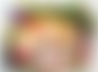 Mitos y realidades sobre las dietas Vegetarianas