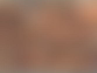 Victorian and Tasmanian Heritage Red Bricks