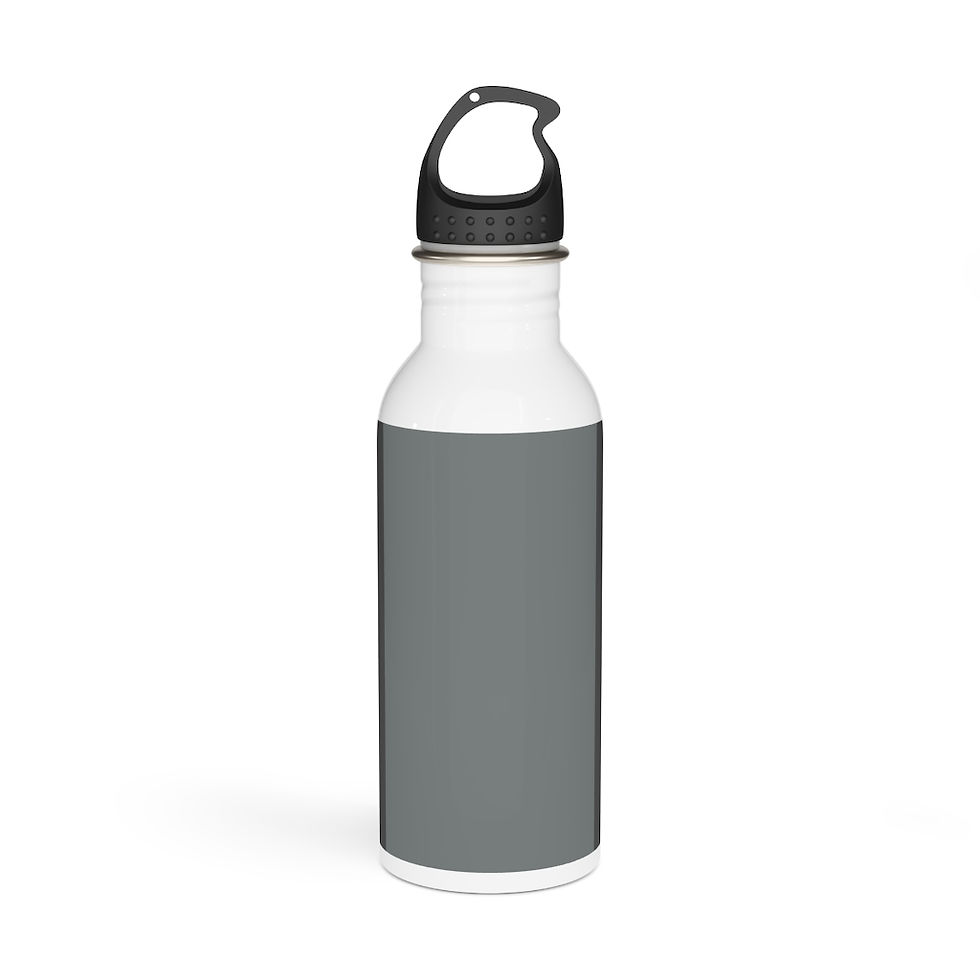 Thumbnail: Stainless Steel Water Bottle