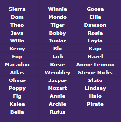 Winter Birthdays - Newsletter 2025.png