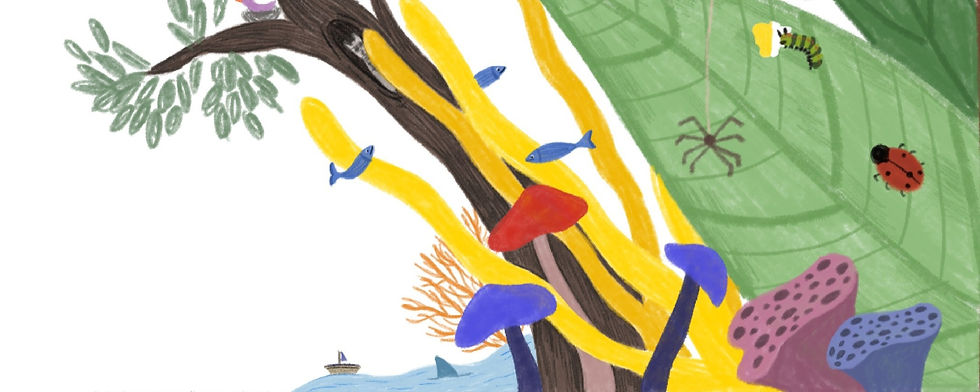 illustration