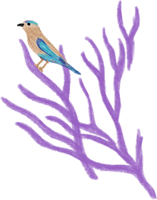 Illustration of Indian Roller bird