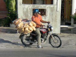 P71.jpg