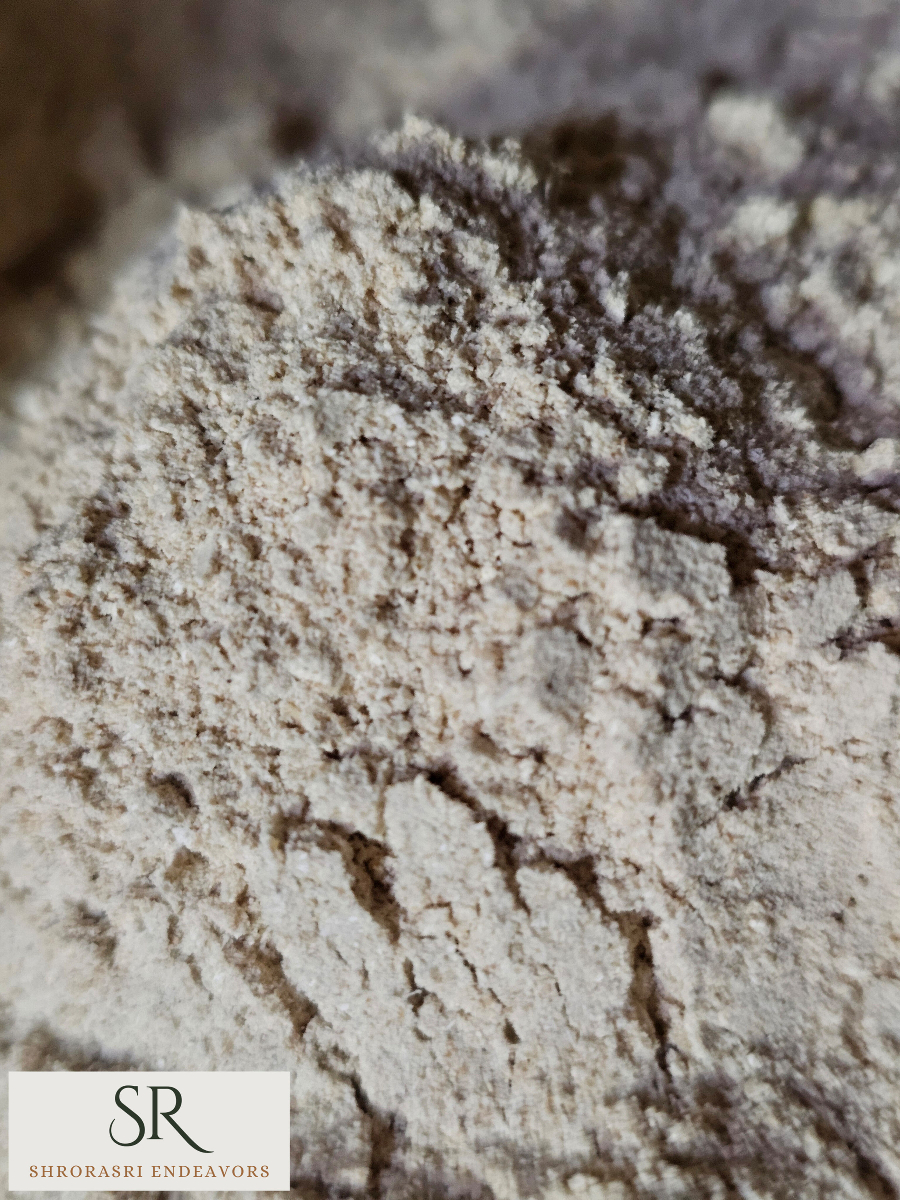 Sun Dried Oyster Mushroom Powder