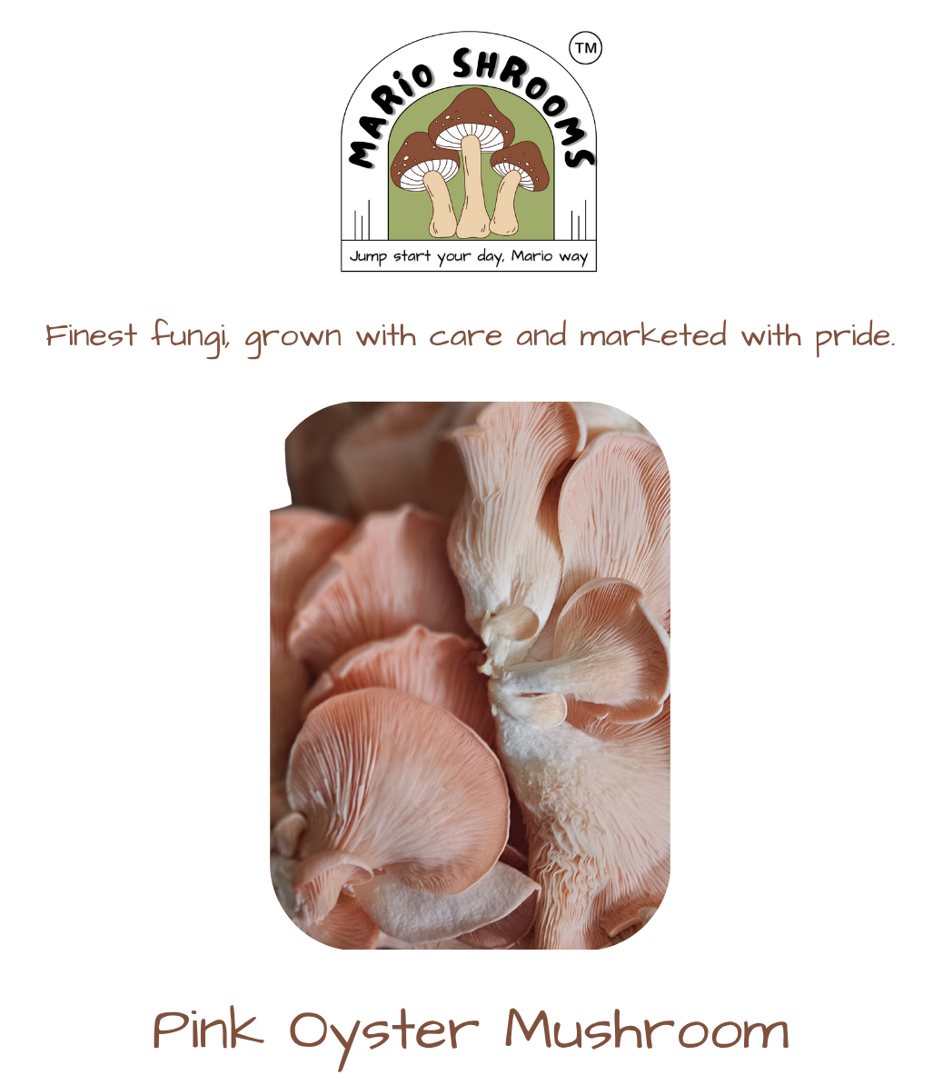 Fresh Pink Oyster Mushroom