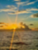 IMG_1004.jpeg
