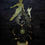 Miniature : Peter Pan arbre Noel