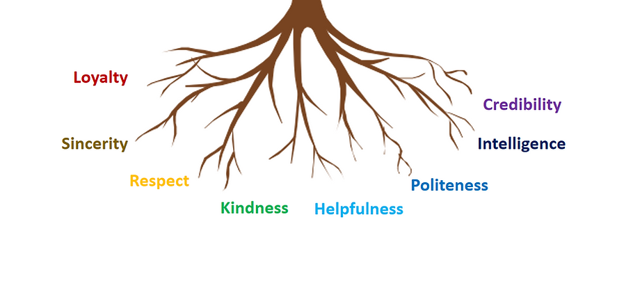 root.png
