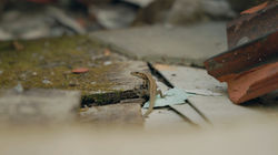 © Les Films en Vrac (6)