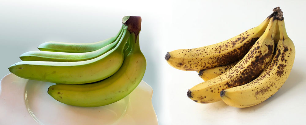 separating bananas keep from ripening