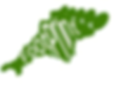 Footprint-Logo.png