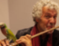 833_marc_grauwels_oiseau.jpeg