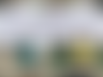 Unwahas Semarang Tingkatkan Kerja Sama Internasional dengan Berbagai Perguruan Tinggi