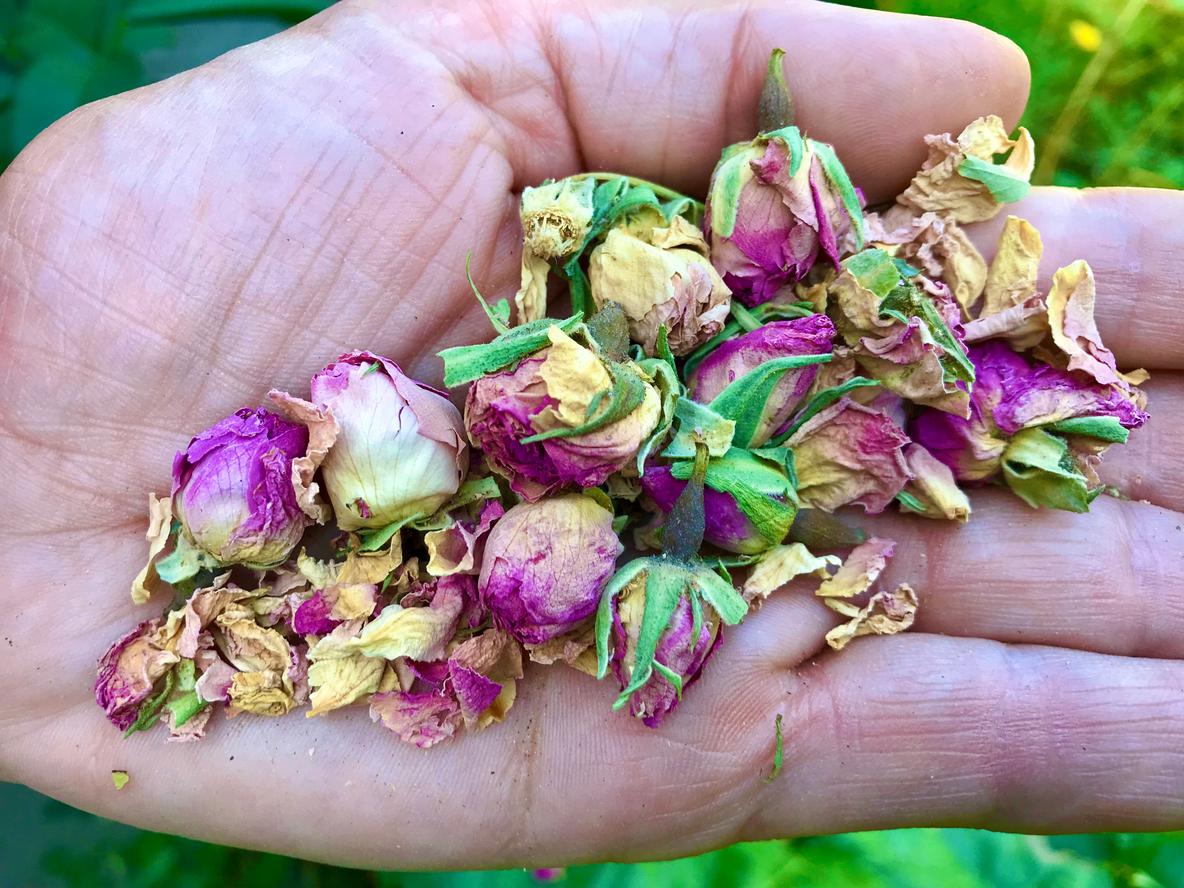 Notre Dame à la Rose - Vrouwelijke Intuïtie