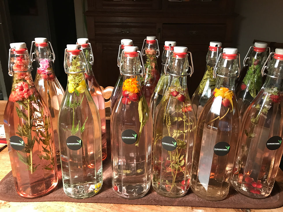 Zomer frisse en gezonde icetea en gefermenteerde dranken met bloemen, kruiden en fruit!  Donderdag 17 juli van 19u tot  22u