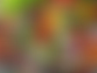 Setzlingshop ist fast fertig.