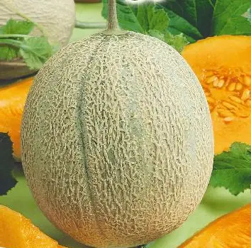 ree